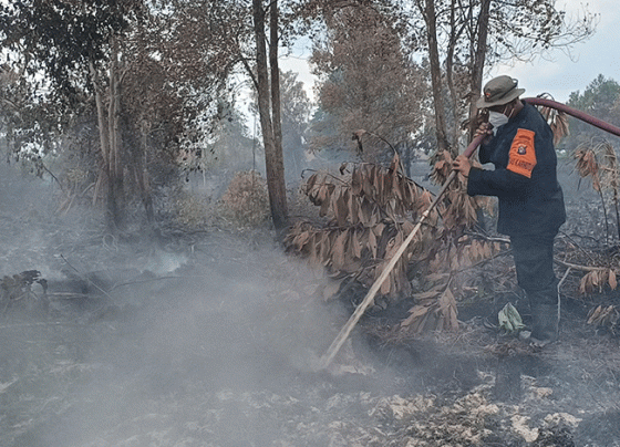 Petugas BPBD Kotim menggunakan racun api untuk pendinginan kebakaran lahan di Jalan Pramuka Sampit, Rabu, 6 September 2023.