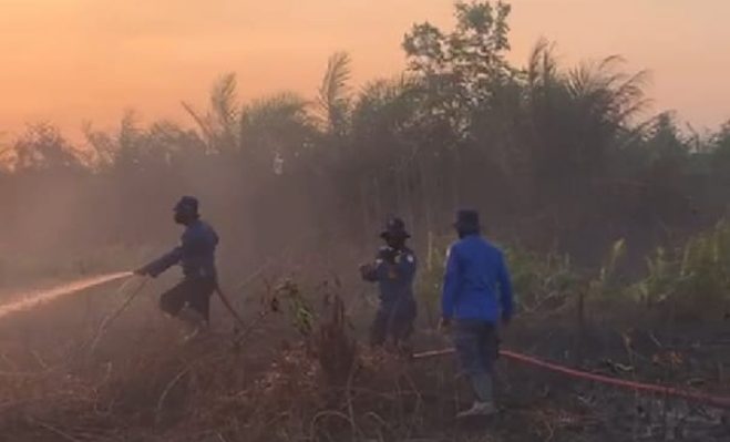 Petugas berjibaku memadamkan kebakaran lahan di Kotim.