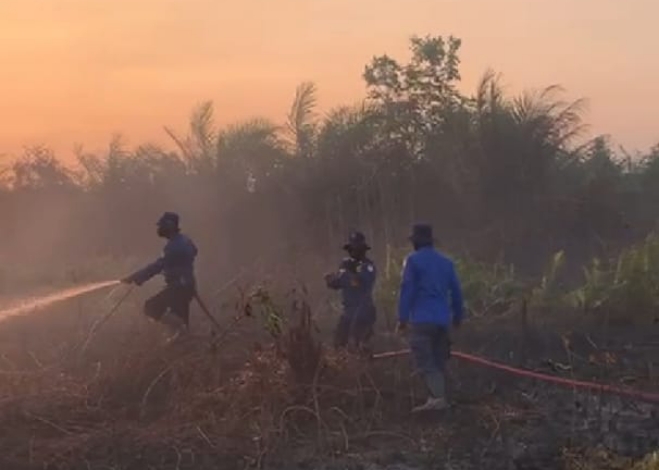 Status Tanggap Darurat Karhutla Diperpanjang Hingga 2 Oktober 2023