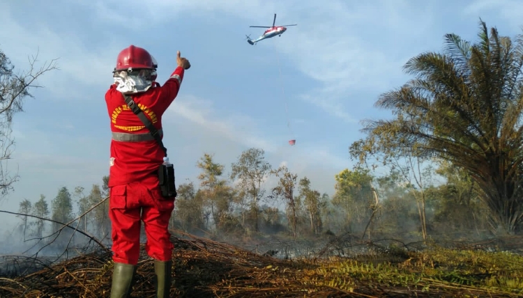 Awas! 5 Hari ke Depan Lahan di Wilayah Kotim Masih Sangat Mudah Terbakar