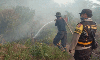 Lahan seluas 1,5 Hektar di Basirih Hilir, Mentaya Hilir Selatan terbakar, Minggu, 1 Oktober 2023.