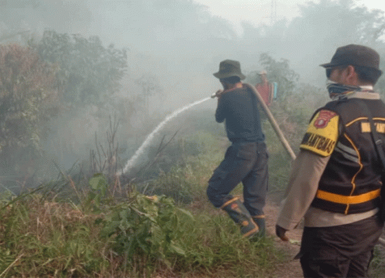 Lahan seluas 1,5 Hektar di Basirih Hilir, Mentaya Hilir Selatan terbakar, Minggu, 1 Oktober 2023.