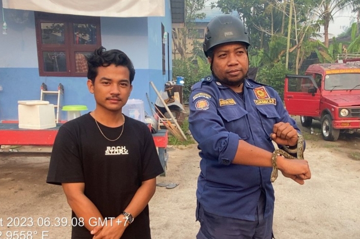 Ngeri! Ular Sanca Batik Masuk ke Dalam Laci Sepeda Motor