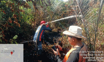 Para petugas berjuang memadamkan lahan Seluas 5 Hektare di Tepian Sungai Sapihan Darat Samuda Terbakar, Sabtu, 30 September 2023.