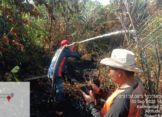 Para petugas berjuang memadamkan lahan Seluas 5 Hektare di Tepian Sungai Sapihan Darat Samuda Terbakar, Sabtu, 30 September 2023.