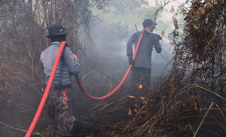 Kemarau Normal, Pemkab Kotim Fokus Cegah Karhutla dan Kekeringan