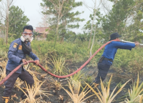 Petugas pemadam ebakaran (Damkar) berupaya memadamkan salah satu lahan yang terbakar di Kotim.