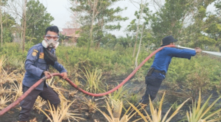 Petugas pemadam ebakaran (Damkar) berupaya memadamkan salah satu lahan yang terbakar di Kotim.