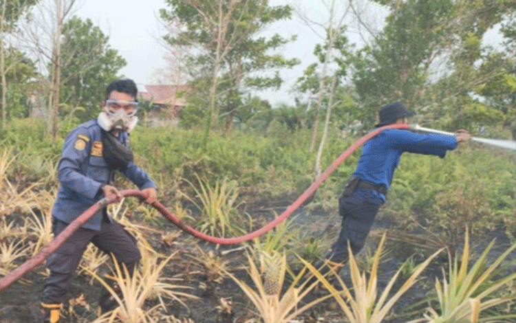 Halikinnor Tanggapi Wacana Perda dan Sanksi Adat Pemilik Lahan Sengaja Membakar