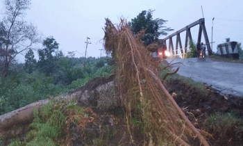 Pohon tumbang di Jalan Kapten Mulyono Sampit mengenai kabel listrik, Kamis, 5 Oktober 2023.