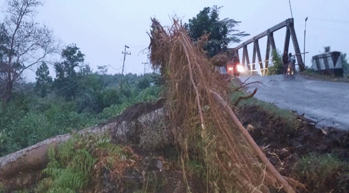 Pohon tumbang di Jalan Kapten Mulyono Sampit mengenai kabel listrik, Kamis, 5 Oktober 2023.