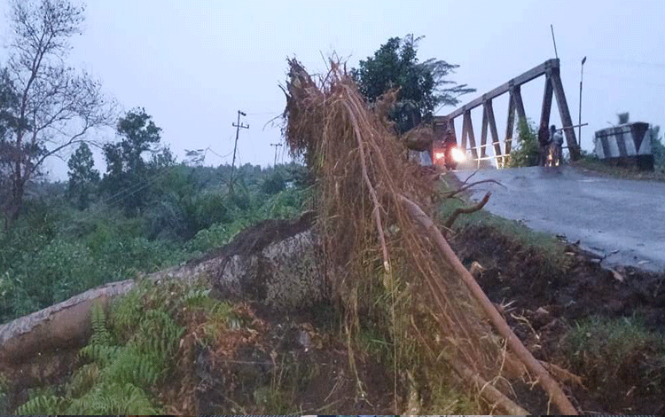 Diterpa Hujan dan Angin Kencang, Pohon Tumbang di Kapten Mulyono Sebabkan Listrik Padam