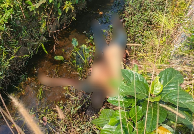 Warga Baamang Geger, Penemuan Mayat di Parit, Sempat Dikira Bau Sampah