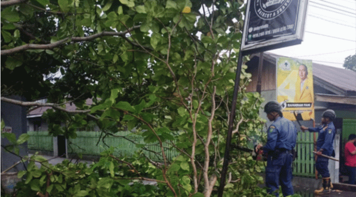 Proses penanganan Pohon di Jalan Ir. Juanda yang tumbang akibat hujan Lebat disertai angin kencang, Kamis, 5 Oktober 2023.