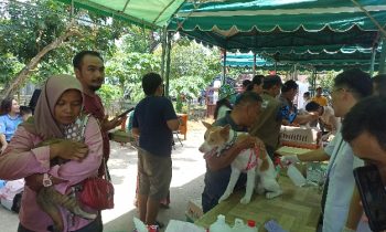 Puskeswan Mentawa Baru Ketapang Adakan Vaksinasi Rabies, Sabtu 7 Oktober 2023.