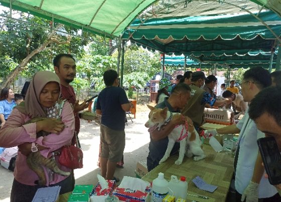 Puskeswan Mentawa Baru Ketapang Adakan Vaksinasi Rabies, Sabtu 7 Oktober 2023.