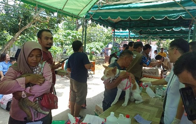 Puskeswan Mentawa Baru Ketapang Adakan Vaksinasi Rabies, Sabtu 7 Oktober 2023.