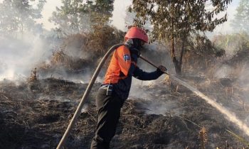 Seorang petugas BPBD Kotim sedang menyemprotkan air pada tanah gambut yang terbakar.
