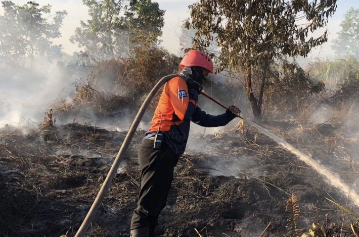 Lebih dari 1.000 Hektare Lahan di Kotim Terbakar