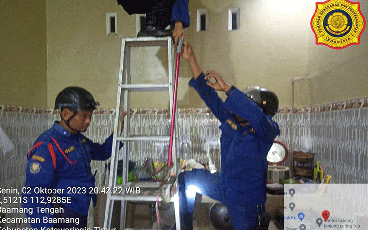 Ular Sanca Batik Ditemukan di Plafon Rumah Warga Perumahan Wengga Metropolitan