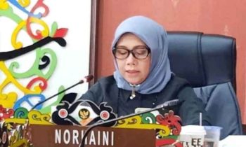 Anggota Komisi C DPRD Kota Palangka Raya, Norhaini.