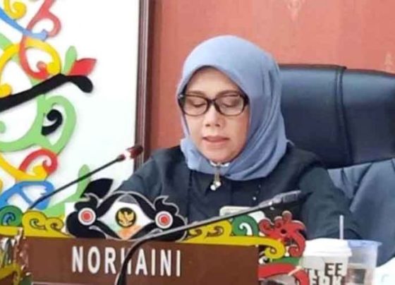 Anggota Komisi C DPRD Kota Palangka Raya, Norhaini.