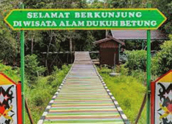 Desa Budaya Betung