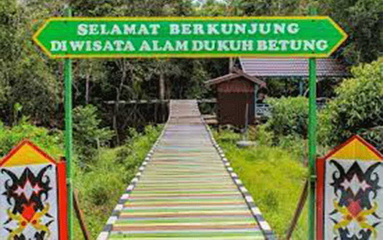 Jadikan Dusun Betung Sebagai Obyek Wisata Andalan Katingan