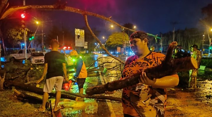 Evakuasi pohon tumbang di salah satu ruas jalan di Kota Palangka Raya.