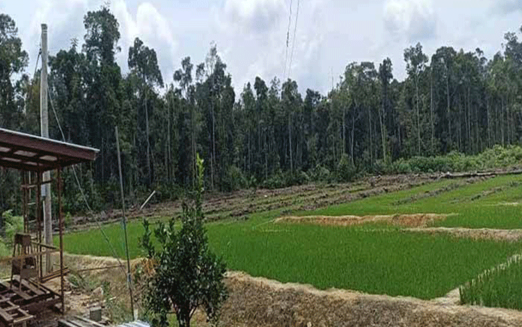 Anggota Fraksi PKS Dukung Program Lahan Menetap