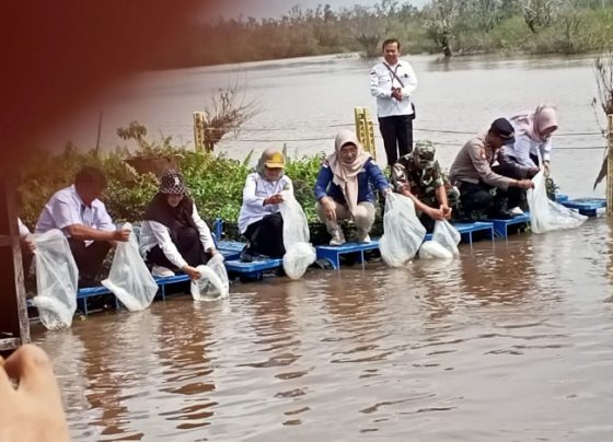 Penebaran bibit ikan di Palangka Raya.