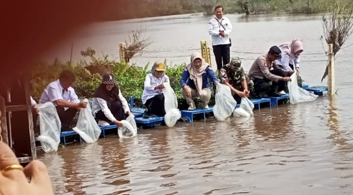 Penebaran bibit ikan di Palangka Raya.