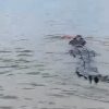 Geger! Buaya Raksasa Bawa Bocah SD di Perairan Sungai Arut