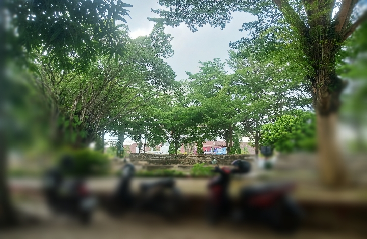 Taman Tugu Soekarno Palangka Raya Kerap Dijadikan Ajang Mesum