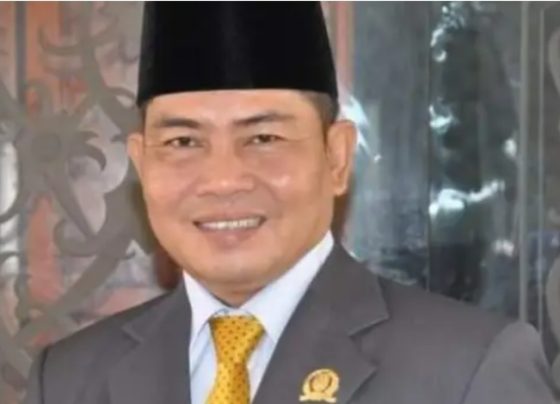 Wakil Ketua DPRD Kabupaten Katingan Nanang Suriansyah.