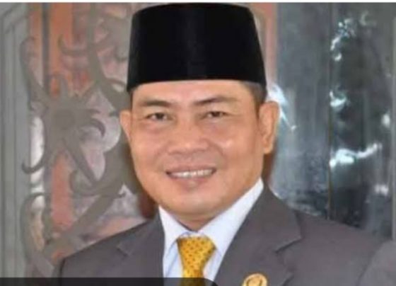 Wakil Ketua I DPRD Kabupaten Katingan,  Nanang Suriansyah.