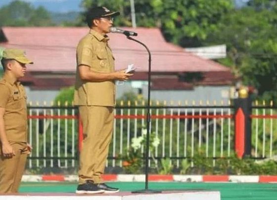 1689162447 untitled 1