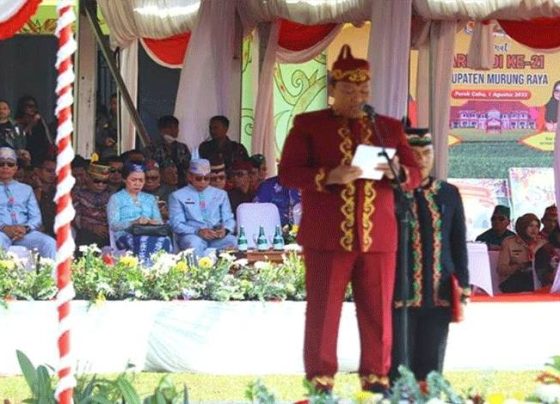 1690946425 untitled 1