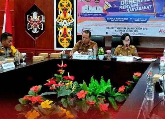 1691565702 untitled 1