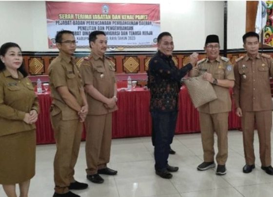 1691653035 untitled 1