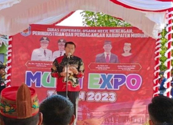 1692010051 untitled 1