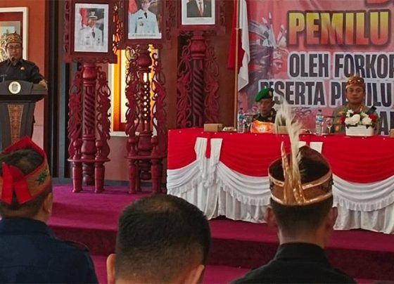 1693818697 untitled 1