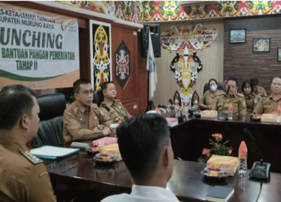 1694598381 untitled 1