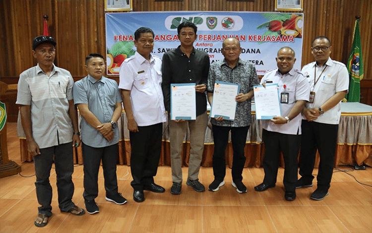 Disaksikan Pj Bupati Seruyan, PT SNP-Koperasi Menandatangani Kerjasama soal Plasma Sawit