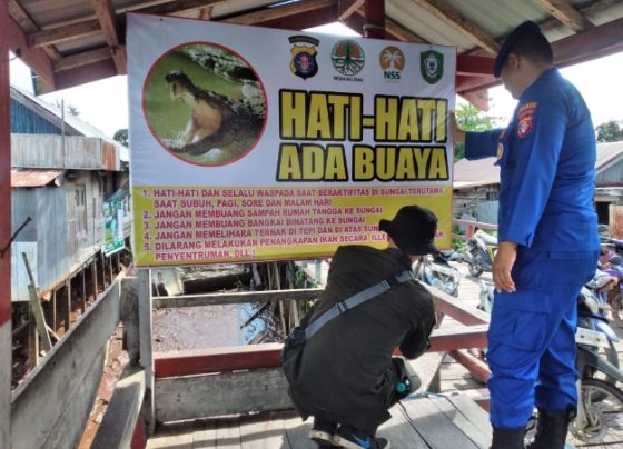 Petugas BKSDA Pos Jaga Sampit memasang spanduk himbauan kepada masyarakat agar berhati hati kemunculan buaya, Kamis 28 Desember 2023.