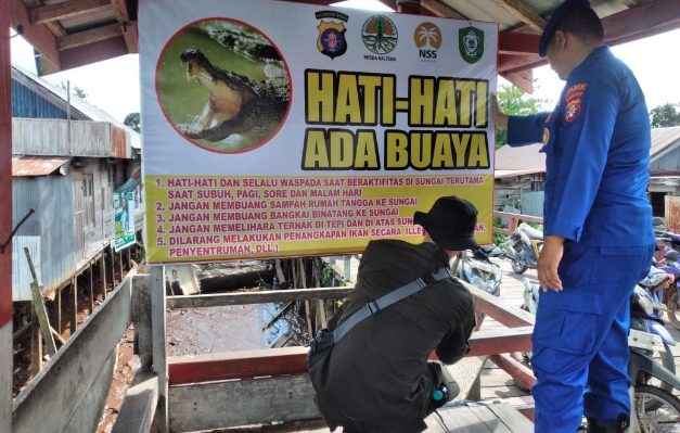 Petugas BKSDA Pos Jaga Sampit memasang spanduk himbauan kepada masyarakat agar berhati hati kemunculan buaya, Kamis 28 Desember 2023.