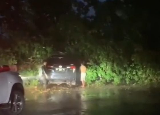 Pohon tumbang menimpa sebuah mobil di Jalan Yos Sudarso, Sampit, Minggu 24 Desember 2023.