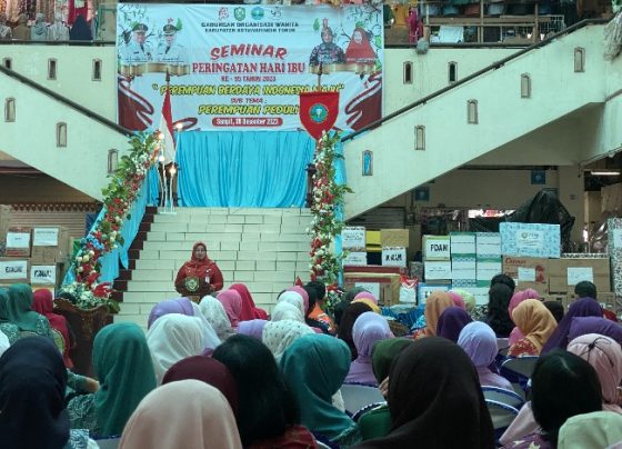 Wakil Bupati Kotim Irawati sekaligus Ketua GOW saat sambutan Seminar Hari Ibu, di aula PPM Sampit, Kamis, 28 Desember 2023.