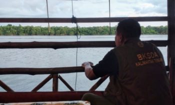 Komandan BKSDA Pos Jaga Sampit Muriansyah saat memantau lokasi dugaan kemunculan buaya di Sungai Mentaya, Senin sore, 28 Januari 2024.