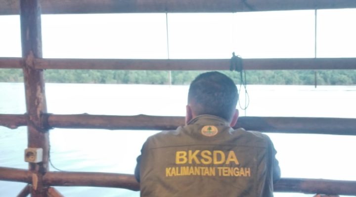 Komandan BKSDA Pos Jaga Sampit, Muriansyah sedang mengobservasi lokasi kemunculan satwa yang dicurigai buaya, Selasa 30 Januari 2024